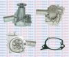 TEMOT 852210 Water Pump